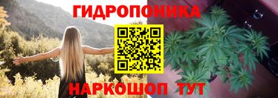 индика Ливны