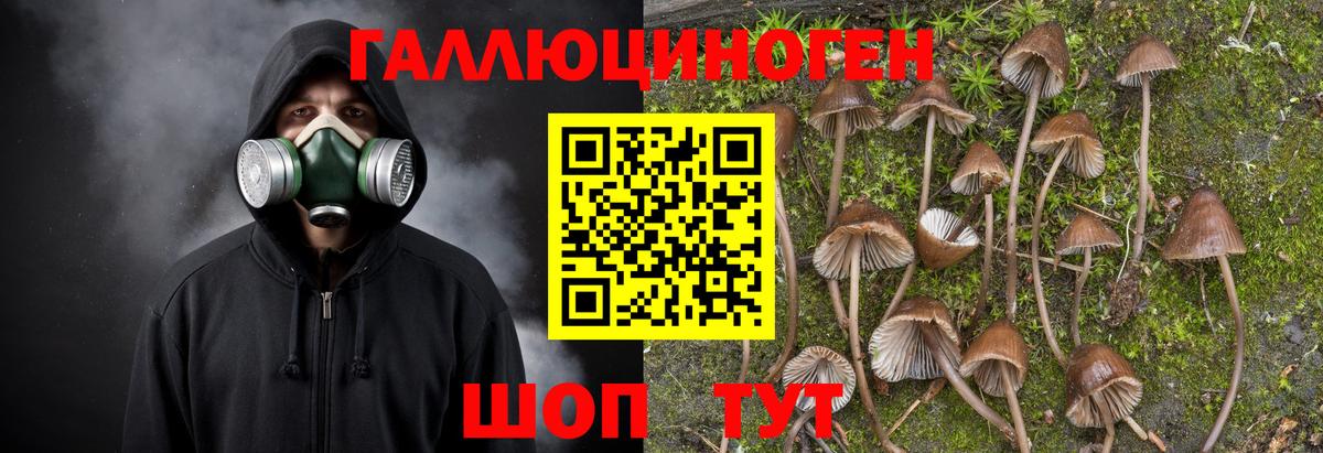 Строитель  Галлюциногенные грибы GOLDEN TEACHER  Вход с VPN 