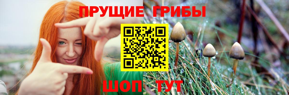 Псилоцибиновые грибы Magic Shrooms Строитель